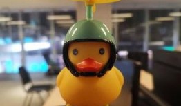 娱乐八卦爆料小黄鸭,娱乐八卦再掀波澜